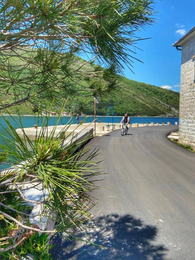 Oldhouse Vucinovic Apartment Tivat Ngoại thất bức ảnh